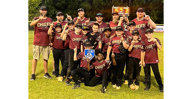 10U Baseball 2022 District Champs